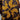 Running Wild Silk Scarf Moya Studio